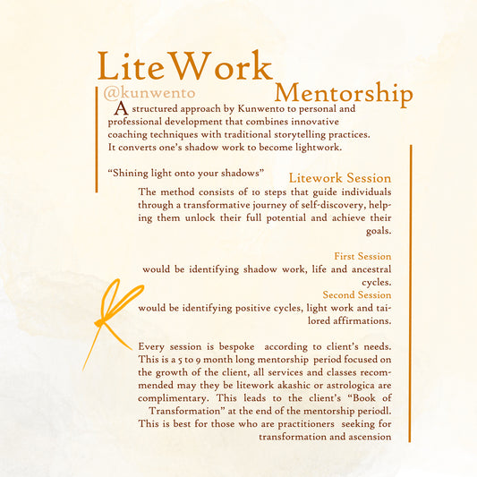 LiteWork Mentorship